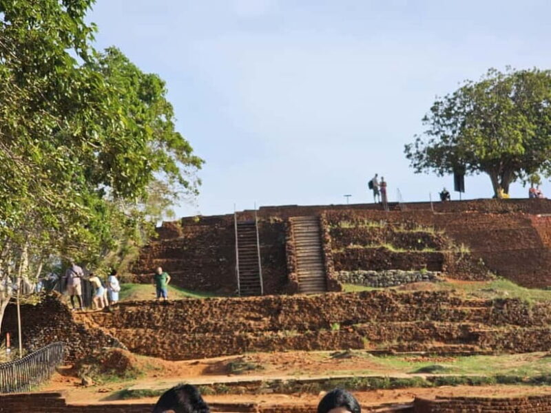 From Galle: Sigiriya Rock Fortress, Dambulla Cave & Safari - Who Would Enjoy This Tour?