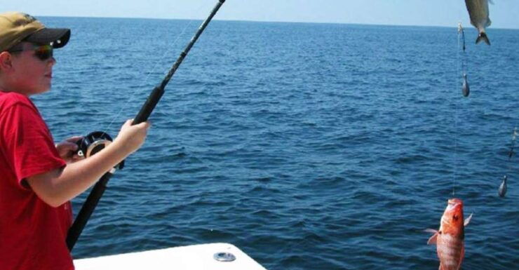 From Galle/Unawatuna:Seafood Delight: Deep Sea Fishing Feast - Experience Highlights