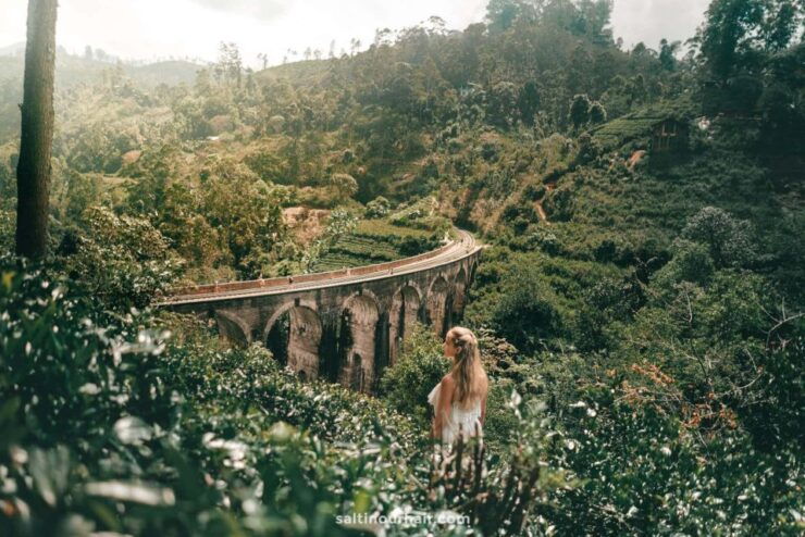 From Galle/Weligama/Mirissa: Day Trip to Ella Highlands - Tour Highlights