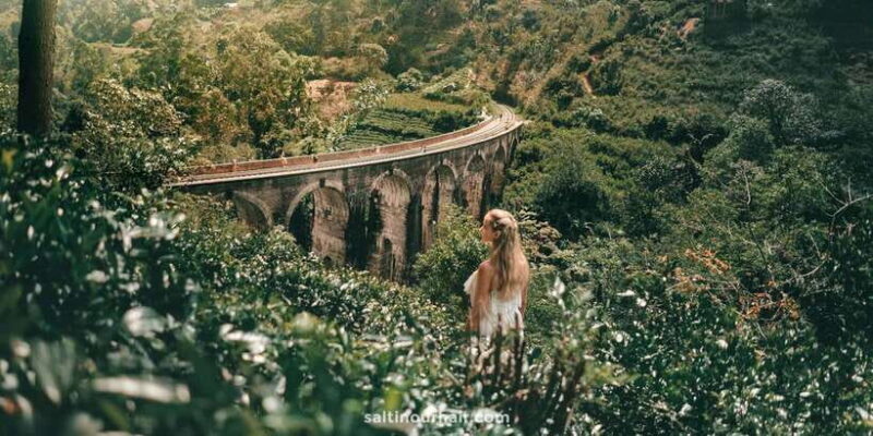 From Galle/Weligama/Mirissa: Day Trip to Experience Ella - Practical Tips for Making the Most of Your Day