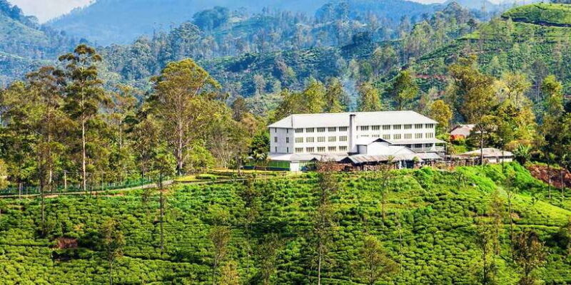 From Galle/Weligama/Mirissa: Day Trip to Experience Ella - FAQ