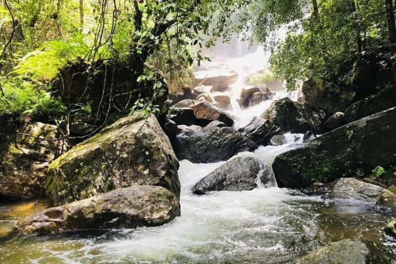 From Galle/Weligama/Mirissa/Matara: Day Trip to Sinharaja - Good To Know