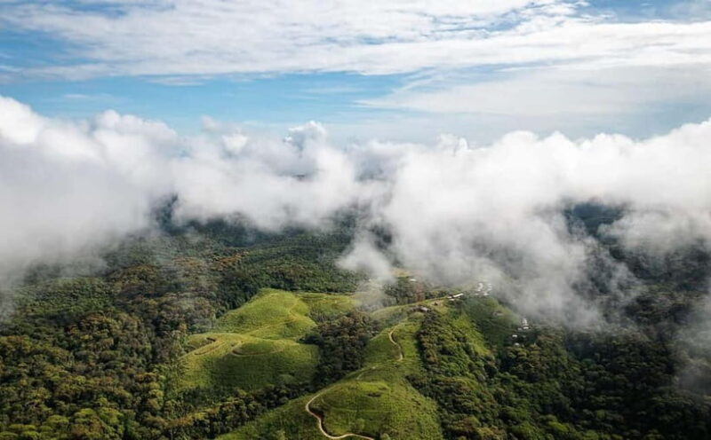 From Galle/Weligama/Mirissa/Matara: Day Trip to Sinharaja - Practical Tips for Your Trip