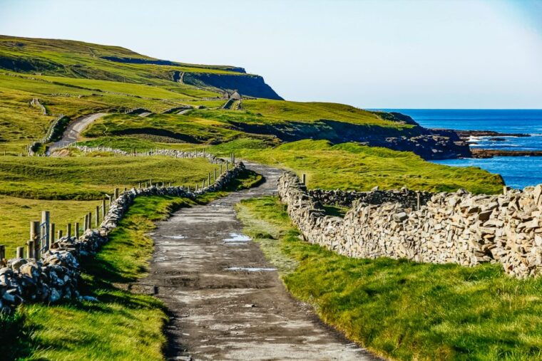 From Galway: Aran Islands and Cliffs of Moher Tour & Cruise - Pricing and Value