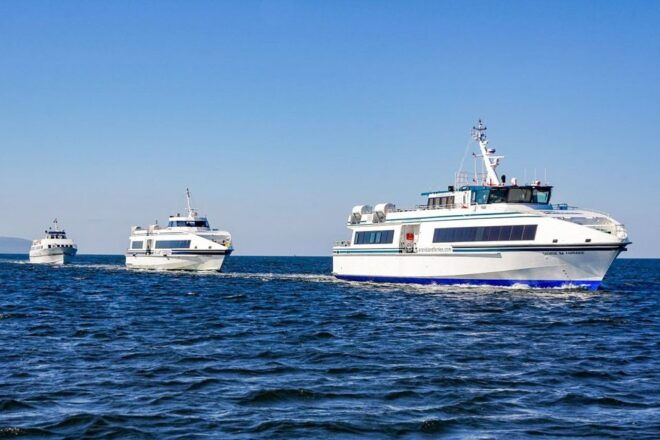 From Galway: Aran Islands & Cliffs of Moher Day Cruise - Selecting Participants and Date