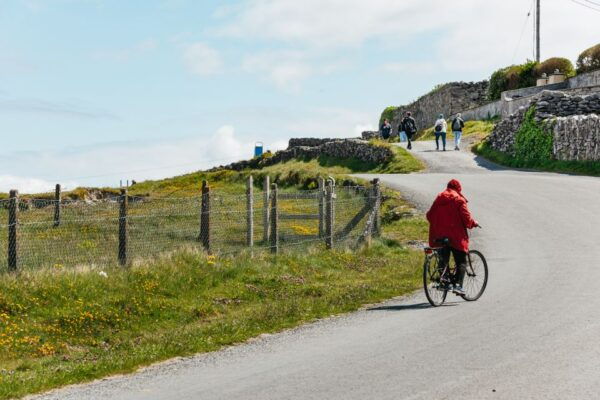 From Galway: Aran Islands & Cliffs of Moher Full-Day Trip - Customer Reviews and Ratings