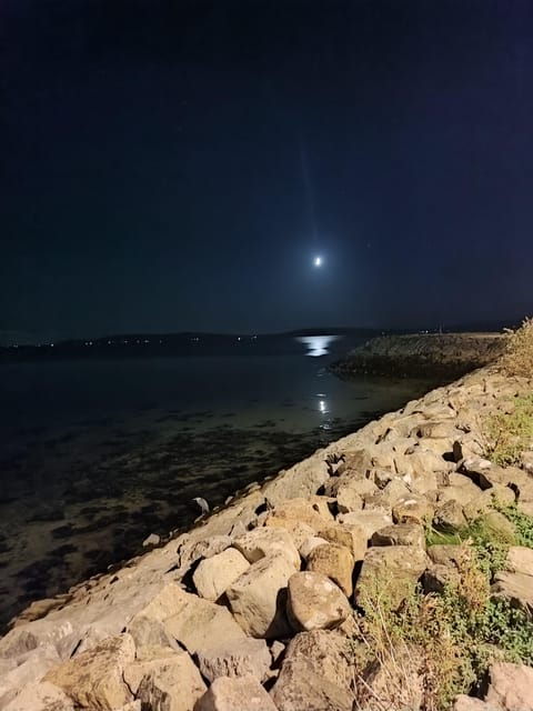 From Galway: City pub/music scene and hikes in Connemara - Practical Details and What You Need to Know