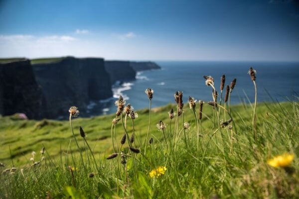 From Galway: Cliffs of Moher and The Burren Full Day Tour - Customer Reviews