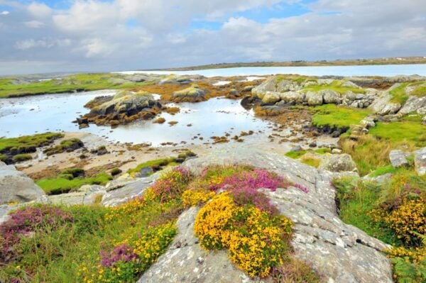 From Galway: Cliffs of Moher and The Burren Full Day Tour - The Sum Up