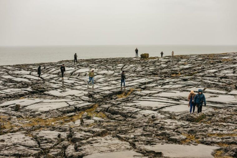From Galway: Cliffs of Moher and The Burren Guided Day Trip - What Could Be Better?