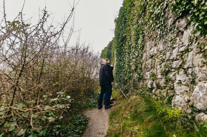 From Galway: Cliffs of Moher and The Burren Guided Day Trip - Final Thoughts