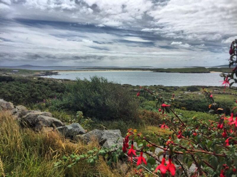 From Galway: Connemara and Kylemore Abbey Day Tour - The Main Stops: Choose Your Adventure