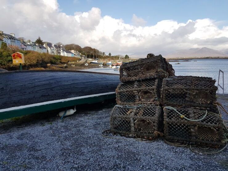 From Galway: Connemara and Kylemore Abbey Day Tour - Tour Duration and Starting Times