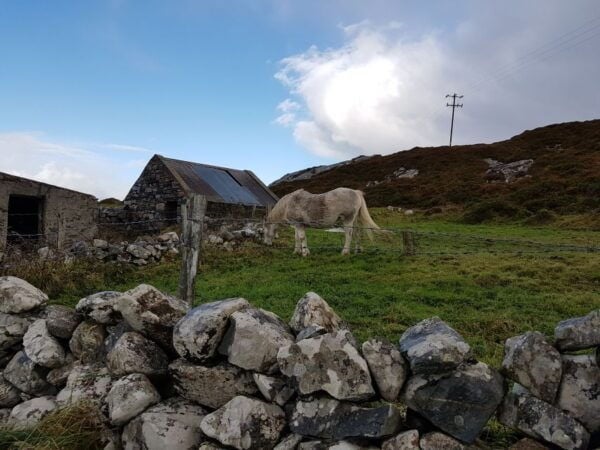 From Galway: Connemara and Kylemore Abbey Day Tour - Common Questions