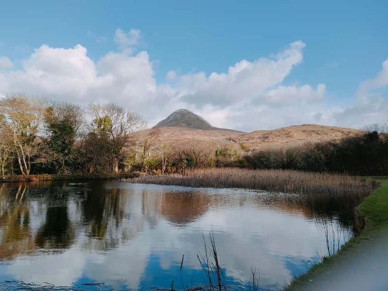 From Galway: Connemara, Kylemore Abbey & Castles 1 Day Tour - The Practicalities: What You Need to Know