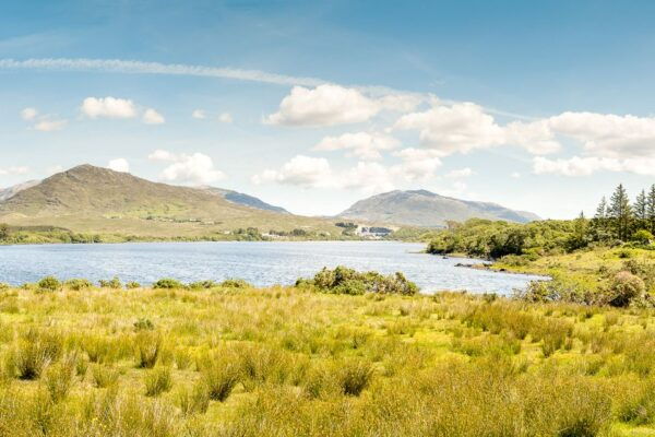 From Galway: Connemara & Kylemore Abbey Full-Day Guided Tour - Common Questions