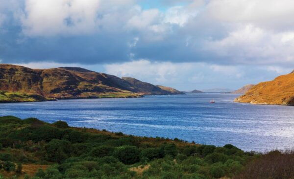 From Galway: Connemara National Park Full Day Tour - Common Questions