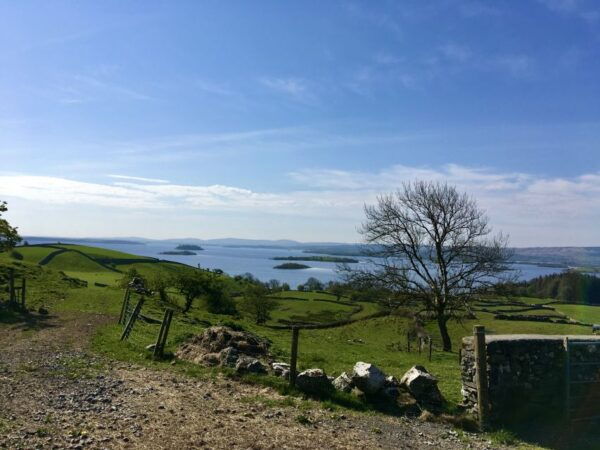 From Galway: Electric Fat Bike Connemara Private Tour - Common Questions