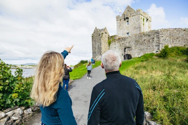 From Galway: Full-Day Cliffs of Moher & Burren Guided Tour - Why This Tour Works for You