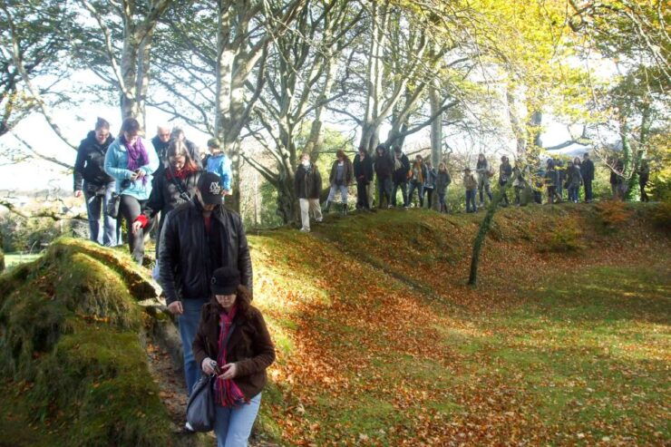 From Galway: Full-Day Cliffs of Moher & Burren Tour - Tour Details and Logistics