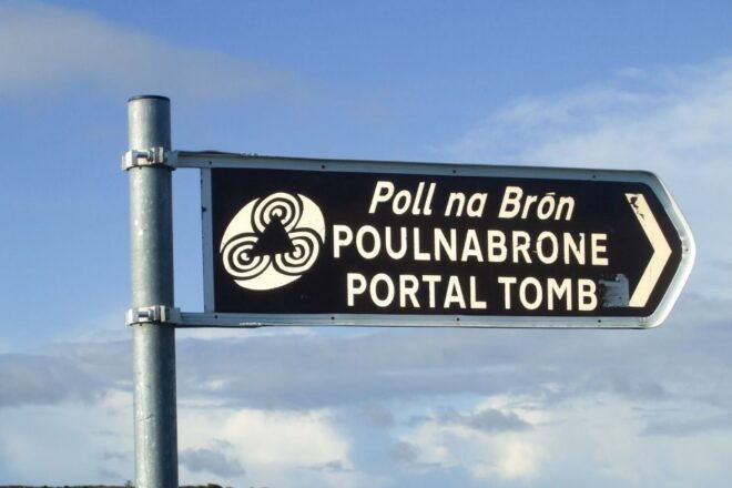From Galway: Full-Day Cliffs of Moher & Burren Tour - Customer Reviews