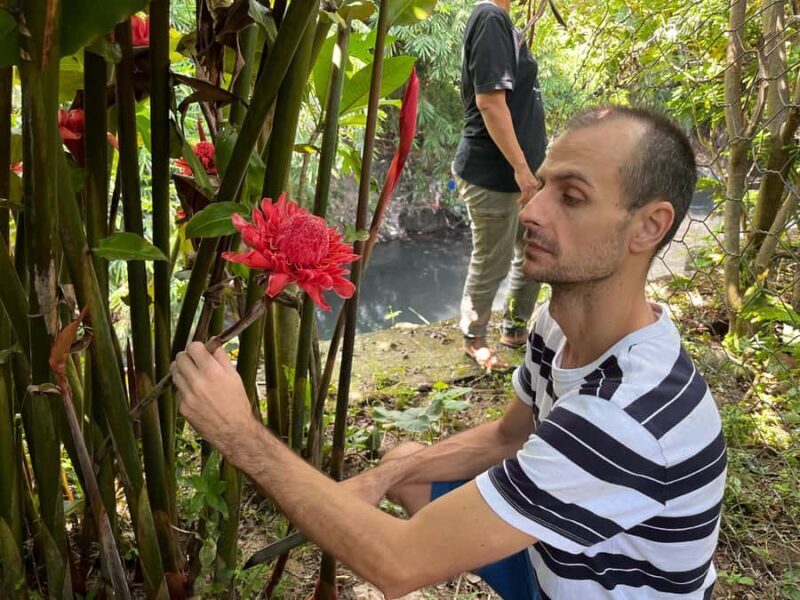 From Garden to Table: Indonesian Cooking Class in Yogyakarta - Authenticity and Real-World Appeal