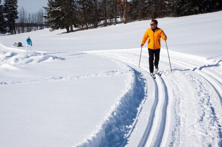 From Gardiner: Guided Yellowstone Cross-Country Skiing Tour - Good To Know