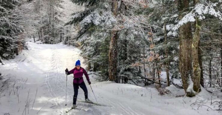 From Gardiner: Guided Yellowstone Cross-Country Skiing Tour - Booking Details