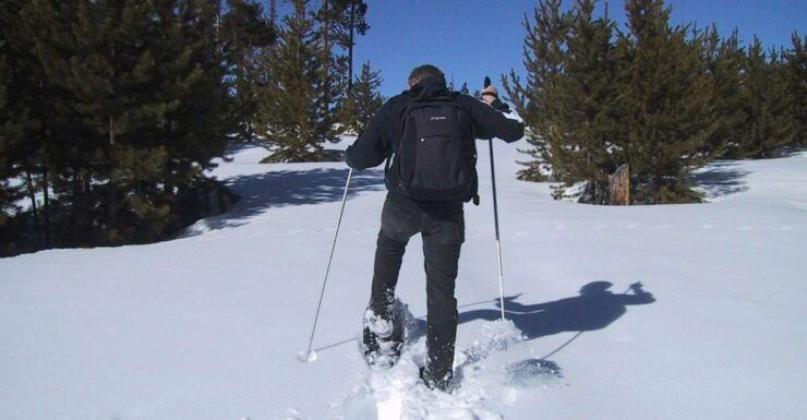 From Gardiner: Yellowstone National Park Snowshoe Tour - Good To Know