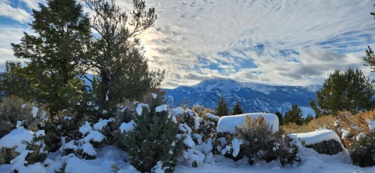 From Gardiner: Yellowstone National Park Snowshoe Tour - Experience Highlights