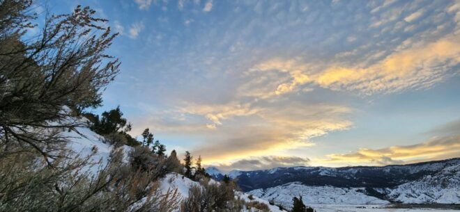 From Gardiner: Yellowstone National Park Snowshoe Tour - Full Description of Experience