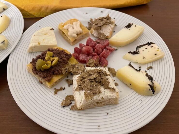 From Gavi: Piedmont Truffle Hunting Experience With Tasting - Truffle Hunting Experience
