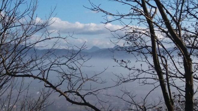 From Gavi: Piedmont Truffle Hunting Experience With Tasting - Testimonials