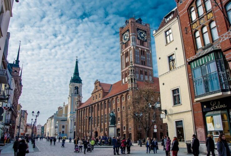 From Gdansk: Private Torun Van and Walking Tour - Activity Details