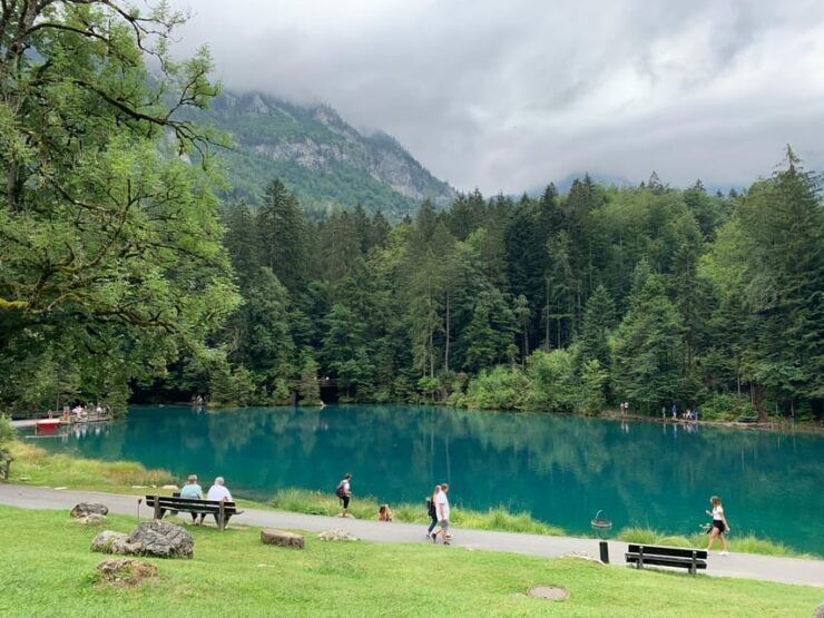 From Geneva: 10H Private Tour in Switzerland With Car+Driver - Good To Know