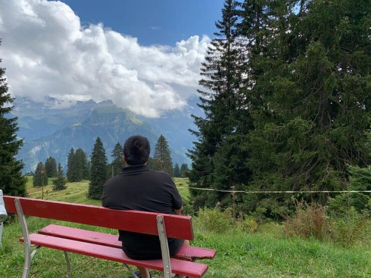 From Geneva: 10H Private Tour in Switzerland With Car+Driver - Experience Highlights