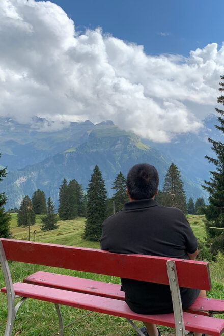 From Geneva: 10H Private Tour in Switzerland With Car+Driver - Inclusions
