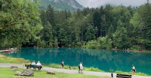 From Geneva: 10H Private Tour in Switzerland With Car+Driver - Transportation and Logistics
