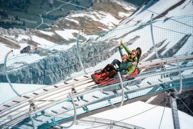 From Geneva: Glacier 3000 and Fun Park Private Day Trip - Accessibility and Special Requests