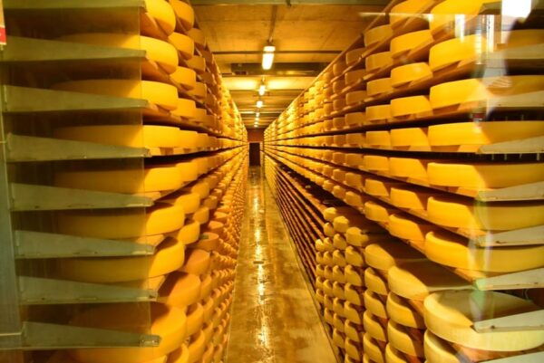 From Geneva: Gruyères Private Tour Cheese & Chocolat Factory - Tour Reviews and Ratings