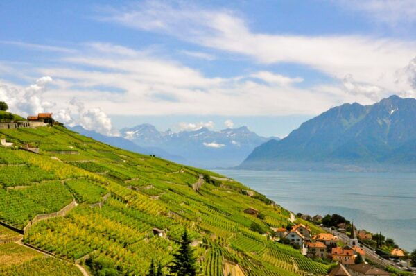 From Geneva: Gruyères Private Tour Cheese & Chocolat Factory - Tour Transportation
