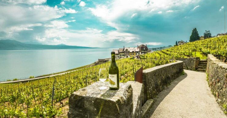 From Geneva: Swiss Riviera Tour - Activity Details
