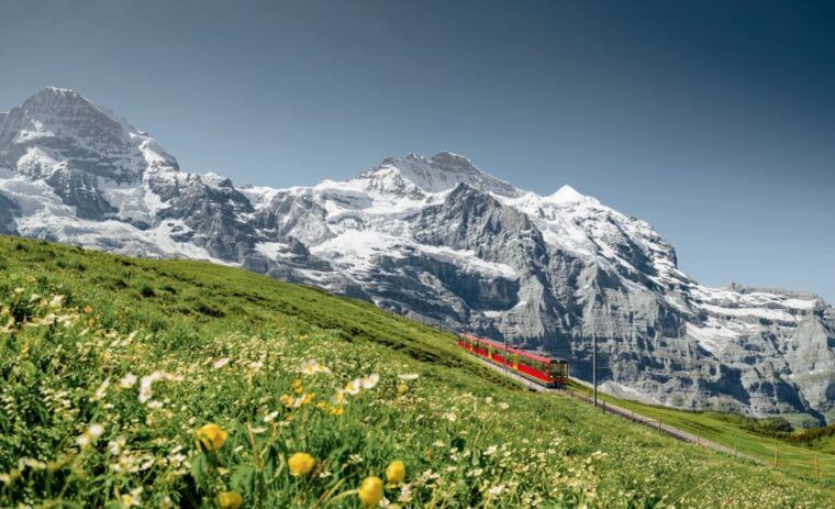 From Geneva to Interlaken - Experience in Interlaken