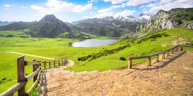 From Gijón: Covadonga and Cangas De Onís Day Trip - Review Summary