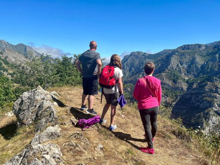 From Gijón or Oviedo: Ponga Natural Park Day Trip - Booking Details