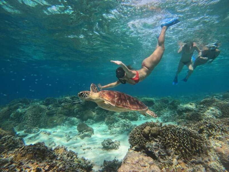 From Gili Air : 3 Islands Snorkeling Trip with Sea Turtles - Final Thoughts