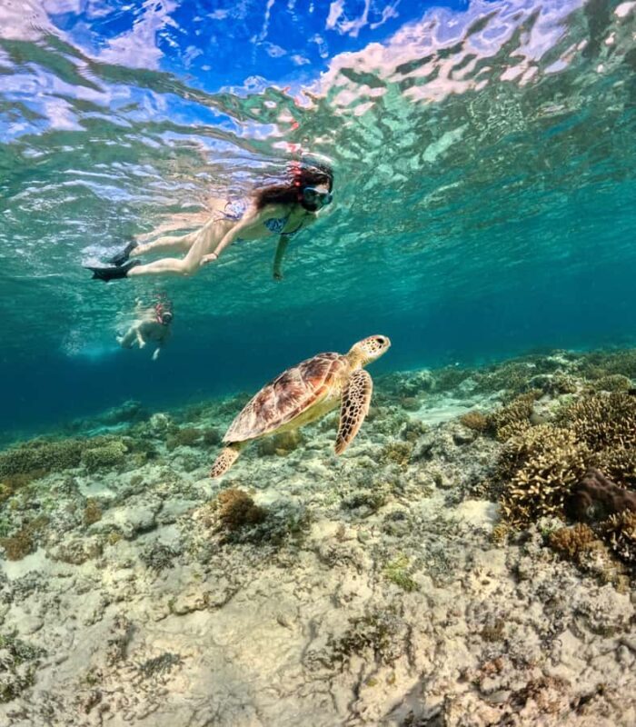 From Gili Air: Private or Small Group Snorkeling Boat Tour - Final Words