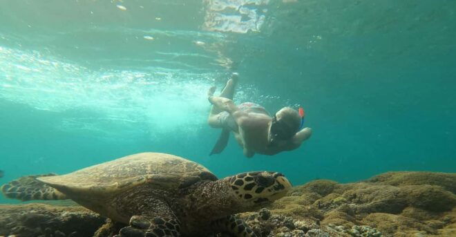 From Gili Air Private Snorkeling Tour 3 Gilis - Additional Activities