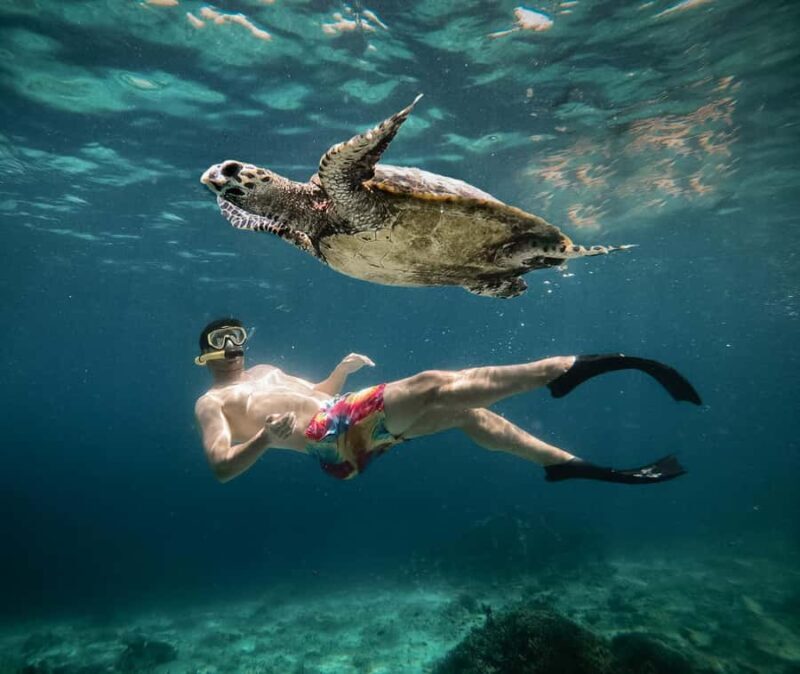 From Gili Air: Snorkeling with Turtles & Underwater Statue - Authentic Experience and Tips