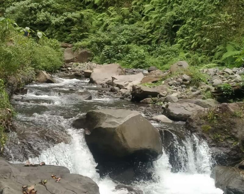 From Gili Island : Waterfalls and Traditional Village Tour - Visiting Bayan Traditional House